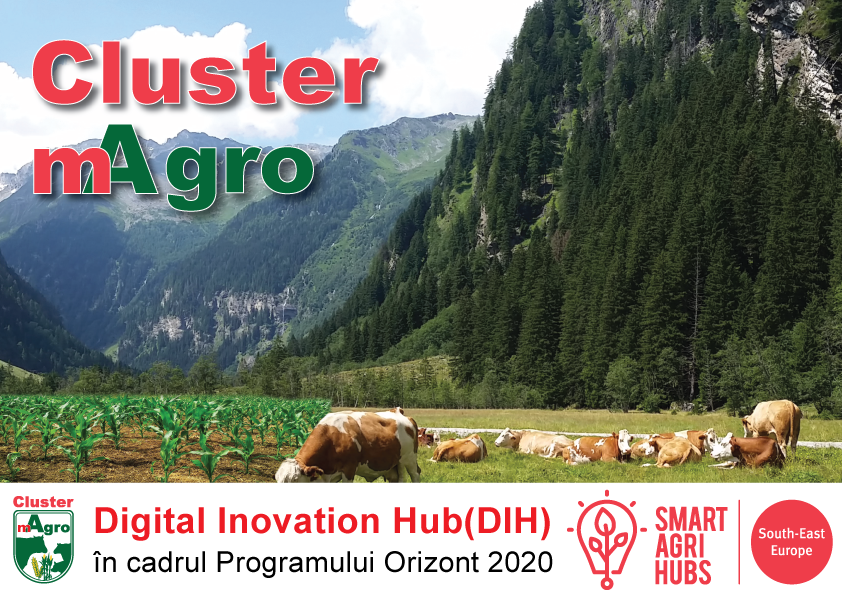 Cluster mAgro – Digital Innovation Hub, Smart Agri Hubs South-East Europe